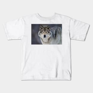 Gray Wolf Kids T-Shirt